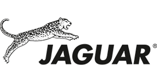 Jaguar Hair